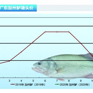 �����|�������Нq�����~�������~�r���ٴ��ϝq������ˮ�aǰ�ء�2020��2�¿��Ј�څ��