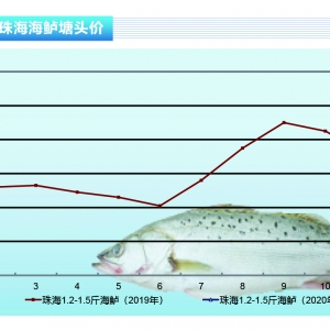 ���|���������������|�r�����Нq������ˮ�aǰ�ء�2020��2�¿��Ј�څ��