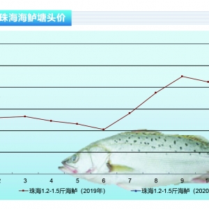 ���|��������Ӱ푣�2�º��|����������»�������ˮ�aǰ�ء�2020��3�¿��Ј�څ��