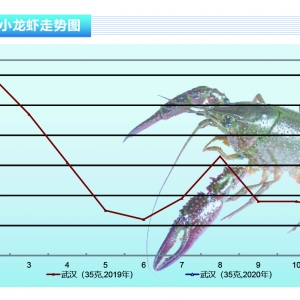 С���r���Ј�����С��ƽ���r����m�ϝq������ˮ�aǰ�ء�2020��2�¿��Ј�څ��