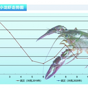 С���r�����r��u���У��ֲ��؅^�r��С�����䡪����ˮ�aǰ�ء�2020��3�¿��Ј�څ��
