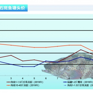 ʯ���~������ʯ���~�rδҊ�q���̓r������m�������󡪡���ˮ�aǰ�ء�2020��2�¿��Ј�څ ...