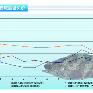 ʯ���~���a�I����ͣ�����Ј��N�����J�p������ˮ�aǰ�ء�2020��3�¿��Ј�څ��