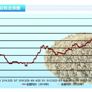 ���ɣ������S�ָ�λ��ʎ�����ȶ��ɳʬFƣ�B������ˮ�aǰ�ء�2020��2�¿��Ј�څ��