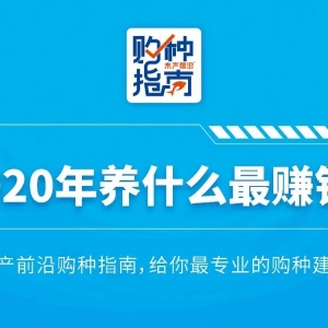 ���B(y��ng)�~ٍ�X��2020�겻���e�^�@�l�~��