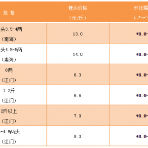 �o�[�~���S��~���~����oȱ���r��(w��n)��