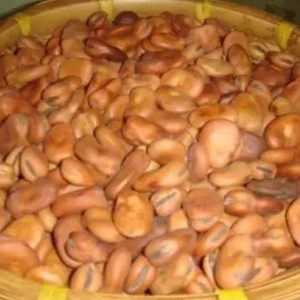 �����~�������ˣ�����ˮ�~�������±����x