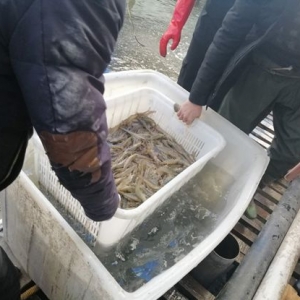 ȫ��22�ȵ͜��B(y��ng)�r��ٍ20�f(w��n)������?n��i)�������? class=