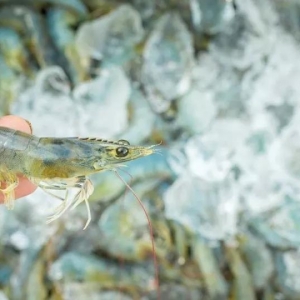 ��϶ࠖ����U(ku��)ɢ���ֻ����ӣ�������܇(ch��)ռ��(j��)�C(j��)��(ch��ng)����ֹ�����뾳����(gu��)�H�r�r(ji��)���ڴ����