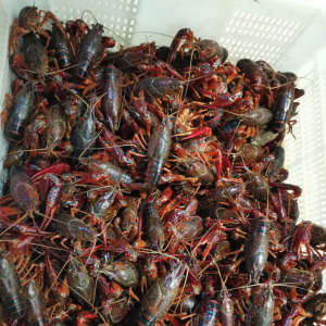 4��8����r(sh��)����h����x�h�x��ͨ���ܿأ�����ˮ�a(ch��n)�����ϼ����I��