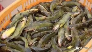 ������(y��n)�أ��Ј����~��(qi��ng)�����S��~�Нq�е�