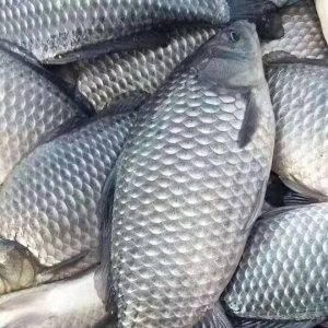 �͝q���V�|1���a�~����u9Ԫ/��