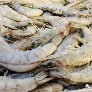 ��ؘI(y��)�ߵ�̎���r���@�F(xi��n)��؛�����Ǖr(sh��)��ڰ��r�ˆ᣿