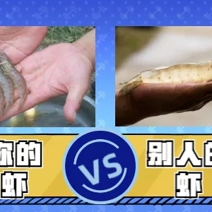 ��(du��)�r�L(zh��ng)���������á�����2����B(y��ng)ֳ�������r�����ǉ�(m��ng)��