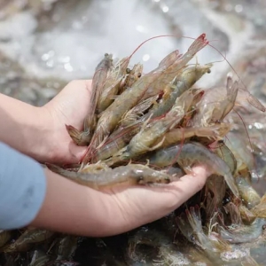 �𱬣����r��؛���L(zh��ng)������һ�����������^�m(x��)�����| �rӍ�����_(t��i)��(l��)�ؼs