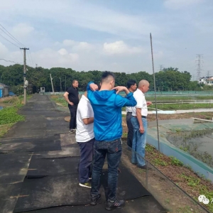 һ��ٍ4600Ԫ���淨���@���ֺܿ��V��