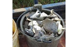 ̩��������δϴ�ף������B�����Ͽ�