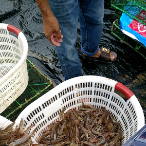 ϲӍ���r�Я����r������r�q�r�ˆ᣿