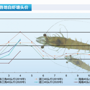 ���r������֏ͣ��r�rӭ���߷��ڡ�����ˮ�aǰ�ء�2020��5�¿��Ј�څ��