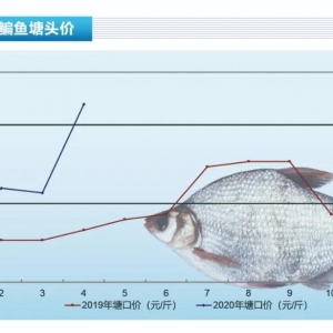 ���~�������٣��N�������~�r��������������ˮ�aǰ�ء�2020��5�¿��Ј�څ��