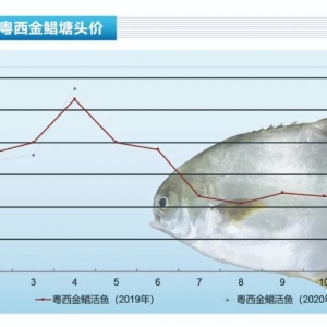 ���K�~��ȫ�����q����(chu��ng)10����߃r(ji��)������ˮ�a(ch��n)ǰ�ء�2020��5�¿��Ј�(ch��ng)څ��(sh��)