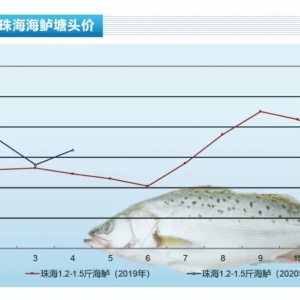 ���|�����M��ů���r��ֹ������������ˮ�aǰ�ء�2020��5�¿��Ј�څ��