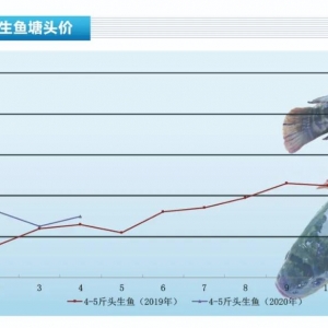 ���~����؛��������ɻ��ʵ���1�ɡ�����ˮ�a(ch��n)ǰ�ء�2020��5�¿��Ј�څ��