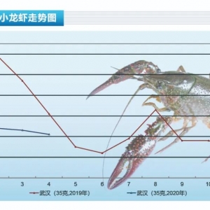 С���r��������ʎ�»���СҎ���r�������@������ˮ�aǰ�ء�2020��5�¿��Ј�څ��