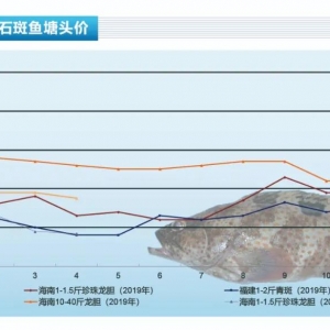 ʯ���~���Ј���ͨ�������D�����w�ԑK��������ˮ�aǰ�ء�2020��5�¿��Ј�څ��