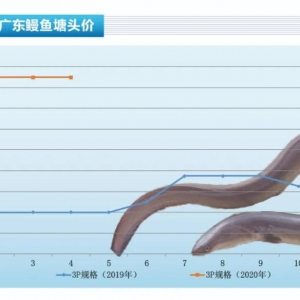 ���~������������r���µ�������ˮ�aǰ�ء�2020��5�¿��Ј�څ��