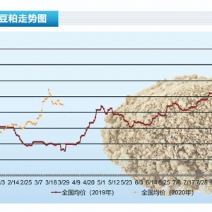 ���ɣ������N���t�������Ⱥ��д󶹹������㡪����ˮ�aǰ�ء�2020��5�¿��Ј�څ��