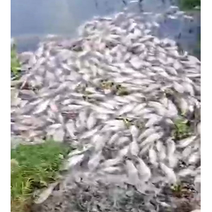 �K��ߜ؟������F�ۡ���ɽ2�����|�B���pʧ��60�f