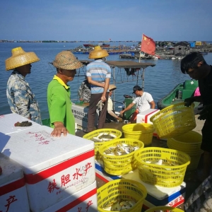 ȱ�~�����m�𱬣����KԪ�r��q��22Ԫ/��