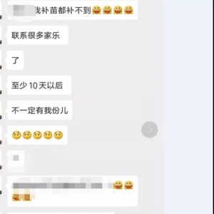 ��������ȱ�~���S�����q��15Ԫ/��