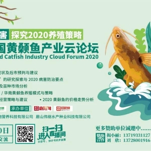 ���R�ۣ����h�S��~���������Ⱦo�����}