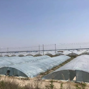 ��(n��i)�{(di��o)�w�|(zh��)�����{(di��o)�h(hu��n)����ͨ�^�@��˼·��������һ��ϣ��