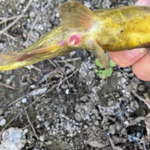 �~��Ҏģ��������ν^�󲿷֝O�t���֟o�ߣ�