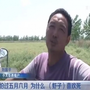 ��ʲôС���r��(hu��)���l(f��)��5�������أ�ԓ����A(y��)���أ�