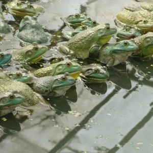 ����܃r��ʮ�������߀�چ᣿