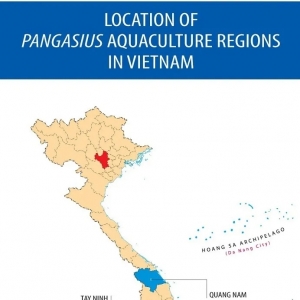 Խ�����^��ُ�r�����Bֳ�ɱ������a�����������M�ڡ����a��ɳ�~2020��a�����p�����ɣ�