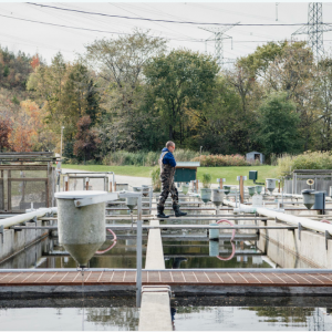 ˼�����¹����錦ˮ�a(ch��n)�B(y��ng)ֳ�����ЩӰ푣�AI���܎����҂�ʲô��