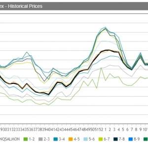 �����~�r���^�m�ϝq���ƽ�ʥ�Q��ˮƽ