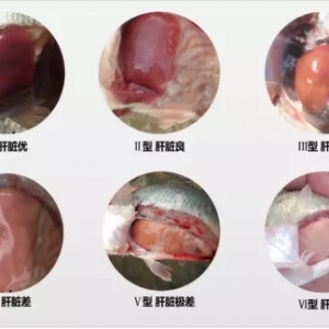 ����ߝq�������l�l����푼����|�Bֳ���l��