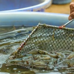 20�^�r�u��40Ԫ���ϣ����r�����u���D׃���¹������׃ȫ����r���M�Ј�|ȫ���rӍ