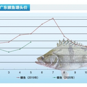 �Z�~������j�� �q���@�ˡ�����ˮ�aǰ�ء�2020��6�¿��Ј�څ��