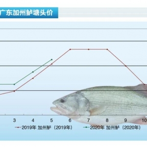 �����|�����鱩�q���~�rͻ��20Ԫ/����P������ˮ�aǰ�ء�2020��6�¿��Ј�څ��