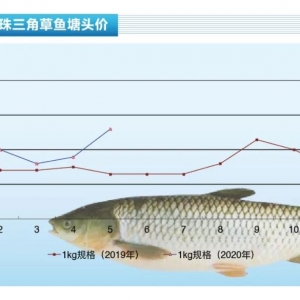 ���~��������m�߸ߡ�����ˮ�aǰ�ء�2020��6�¿��Ј�څ��