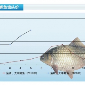 �a�~�����������ͻ��13Ԫ/�����ˮ�aǰ�ء�2020��6�¿��Ј�څ��