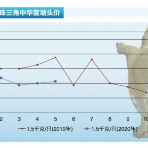 ���~���Ј��ھ�����ů�С�����ˮ�a(ch��n)ǰ�ء�2020��6�¿��Ј�څ��