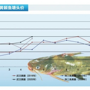 �S��~���Ј�ȱ�~���~�r���q������ˮ�aǰ�ء�2020��6�¿��Ј�څ��